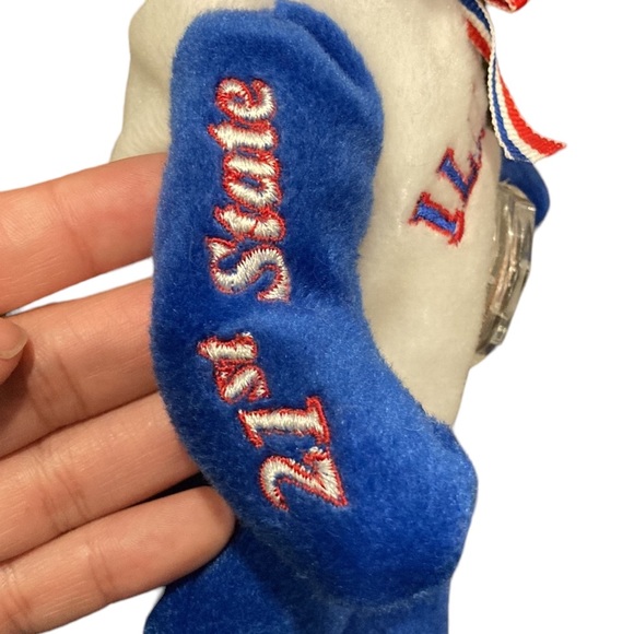 Pish Toys Illinois Limited Edition State Bear 9" - Picture 4 of 7